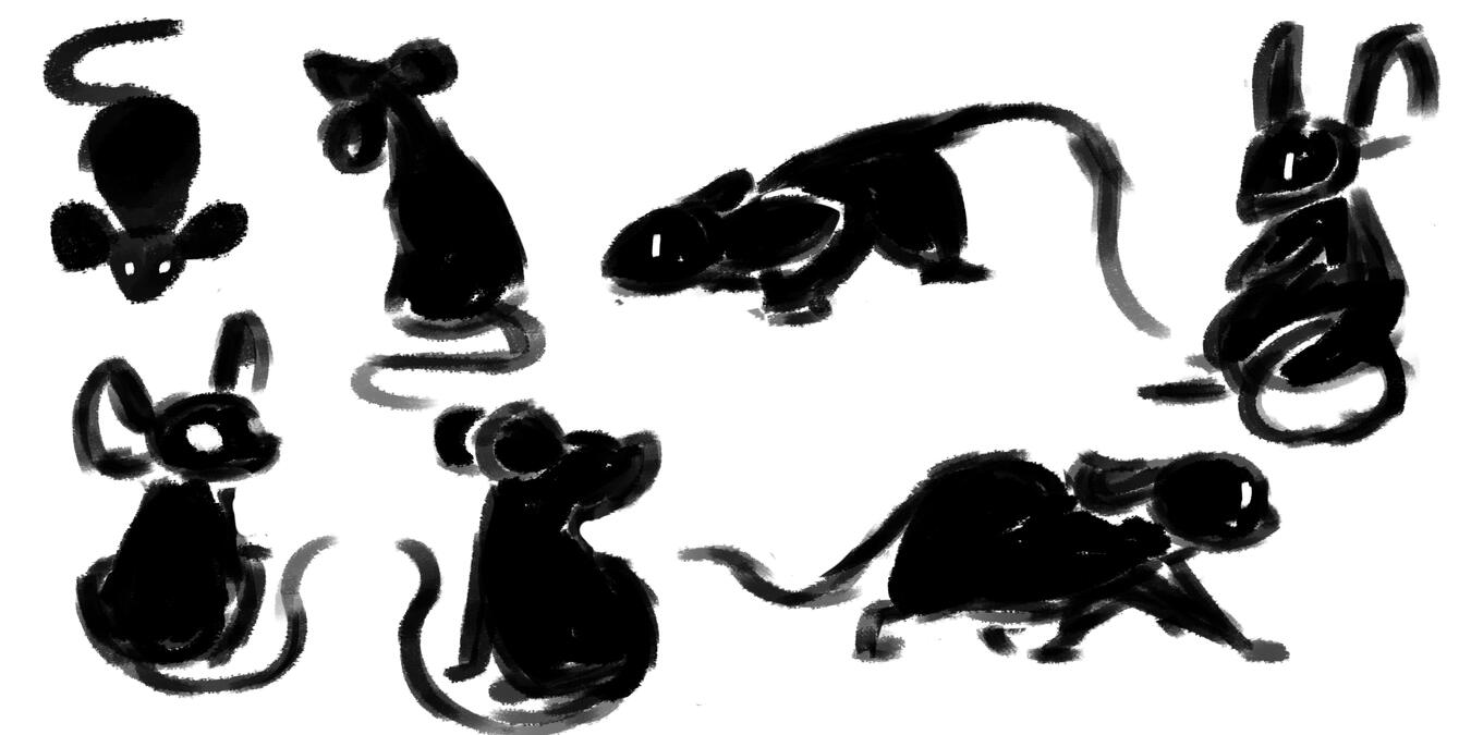 Chip Explorations