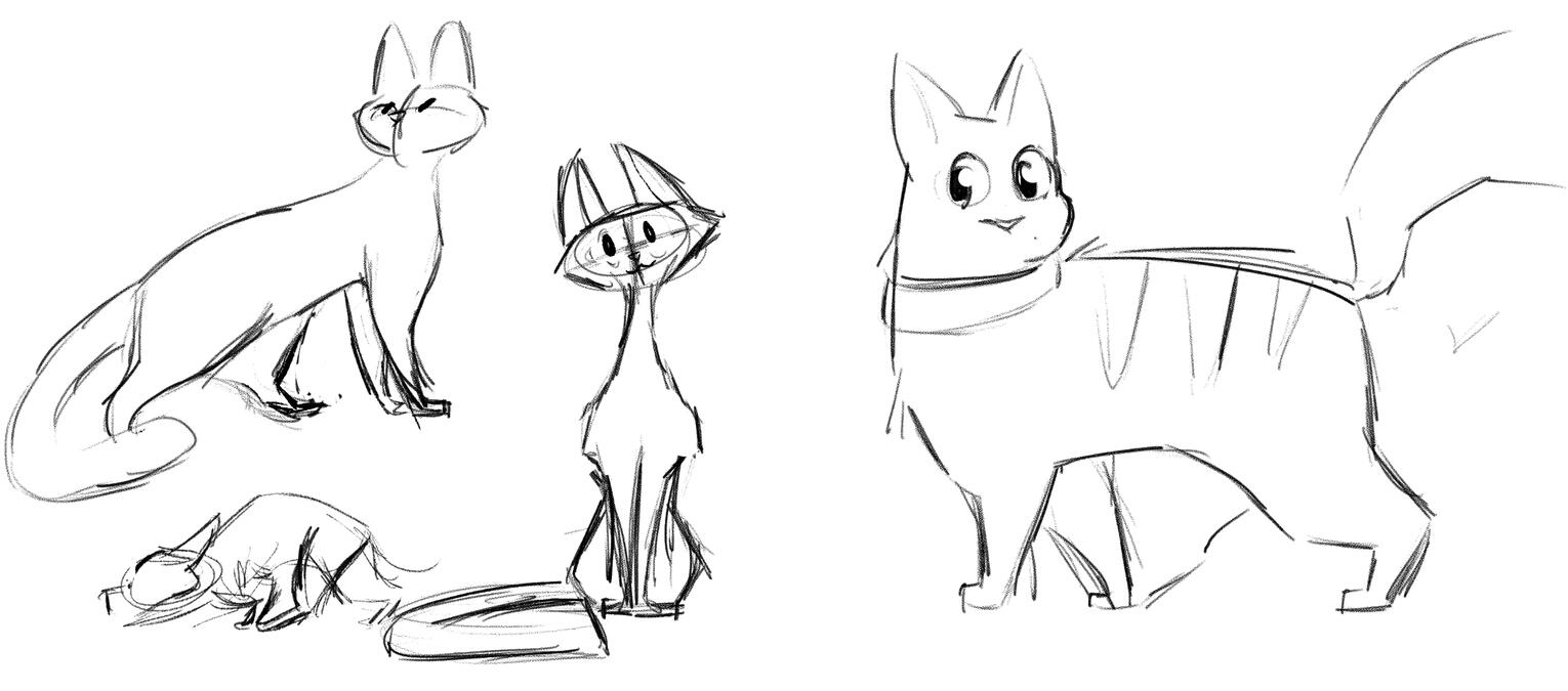 Boxy Explorations