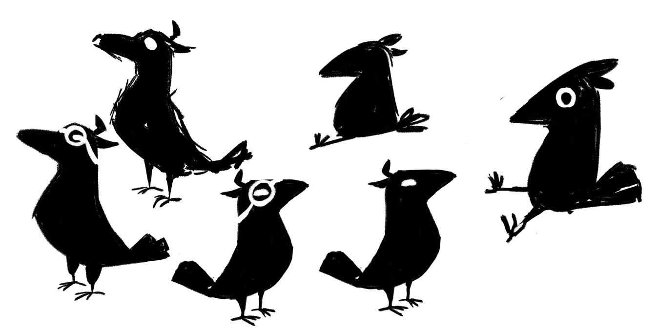 Craig Explorations